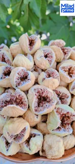 خشکبار